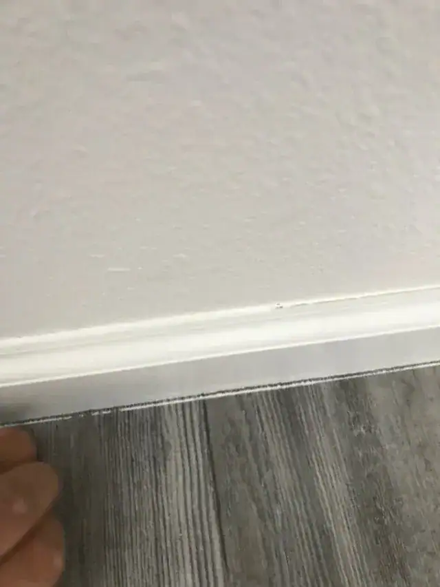 A clean baseboard along a plank floor