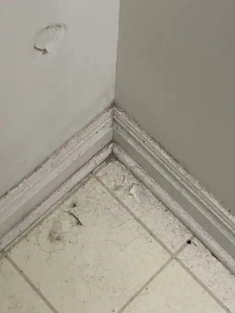 A tile floor corner with dust, hair and grime along the baseboard, before scrubbing