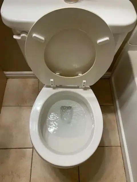The same toilet after a deep cleaning