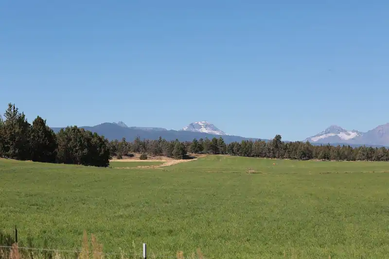 Green irrigated pasture with the Cascade peaks behind, near Tumalo State Park, Oregon